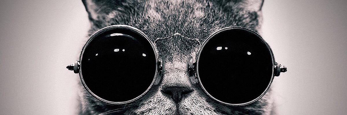 Loriehaddad's profile banner image