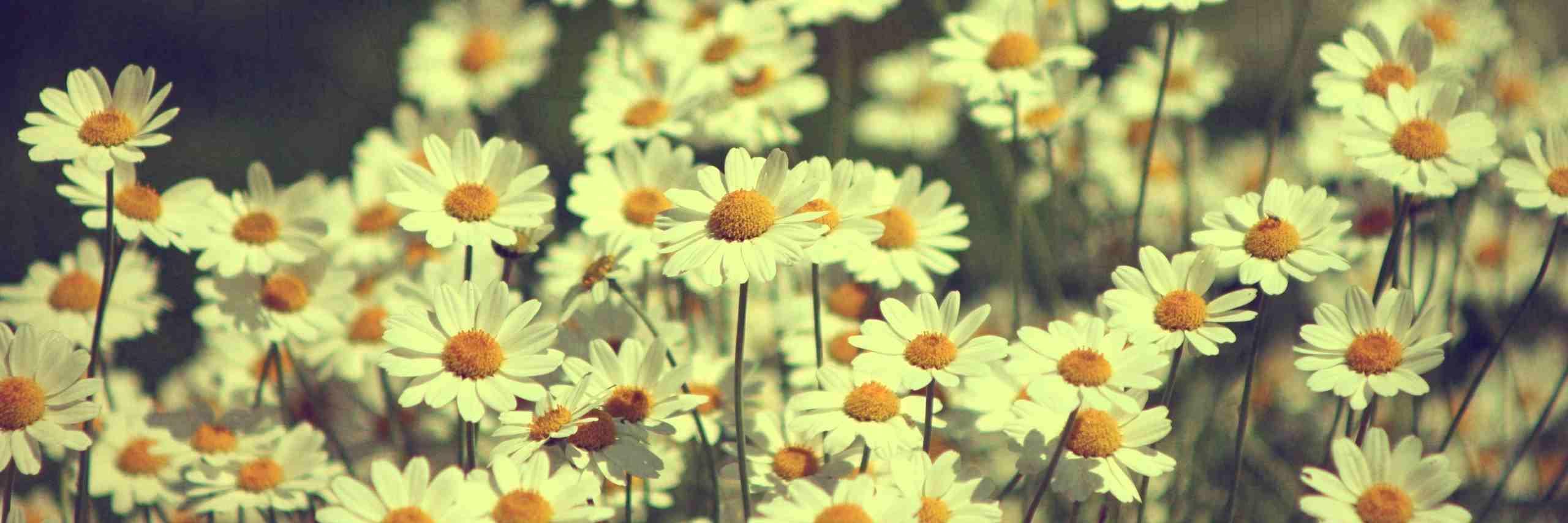 yeolstagram's profile banner image