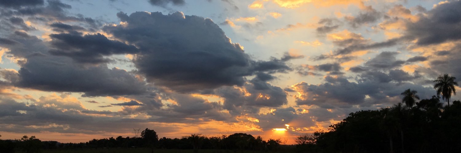 Janibb13's profile banner image