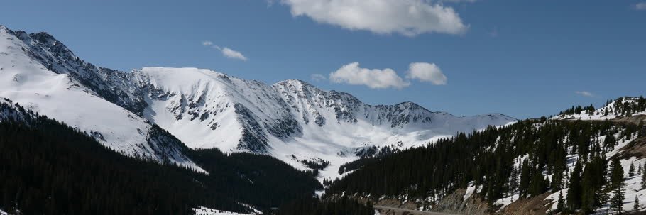 Kate MacInnis banner