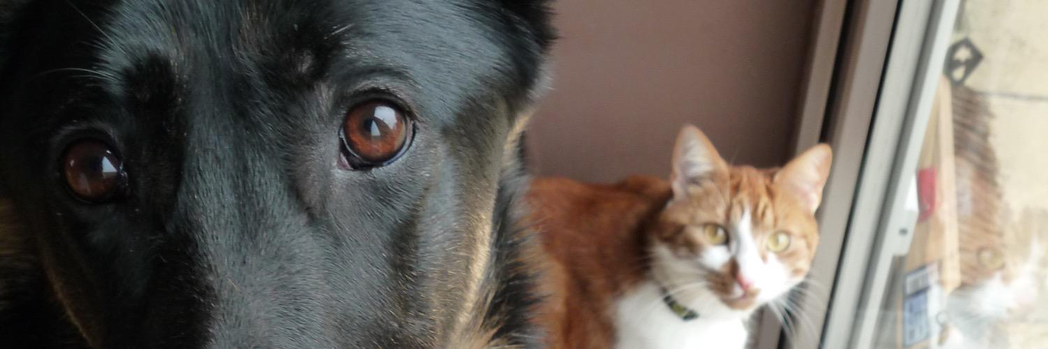 BeccaFarr84's profile banner image