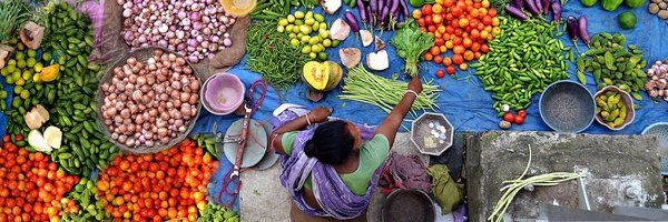 isdc_cgiar Profile Banner