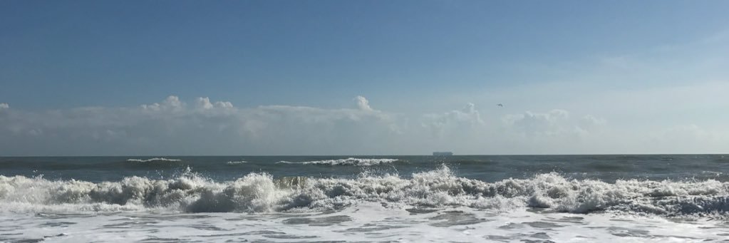 chloebrookerrrr's profile banner image