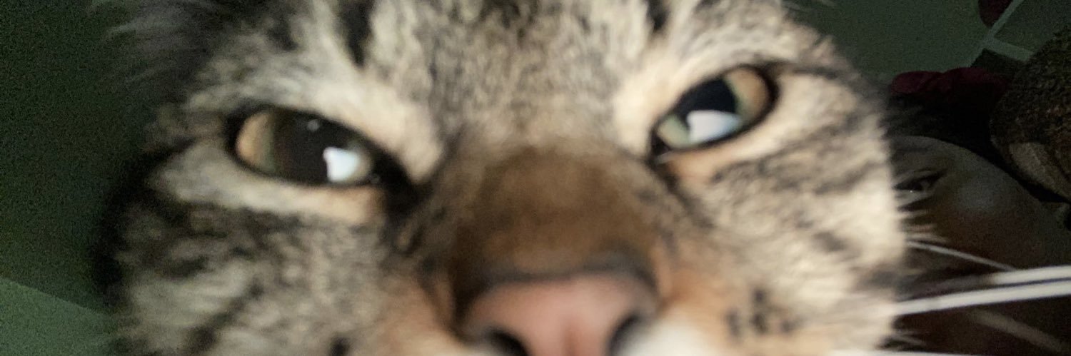 :) banner