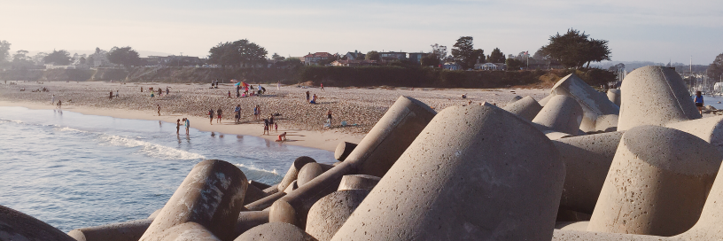 Bay Area Buzz banner