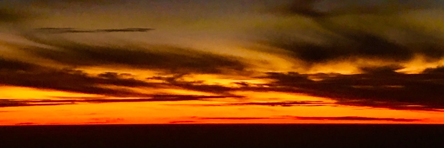 Ghil'ad Zuckermann banner