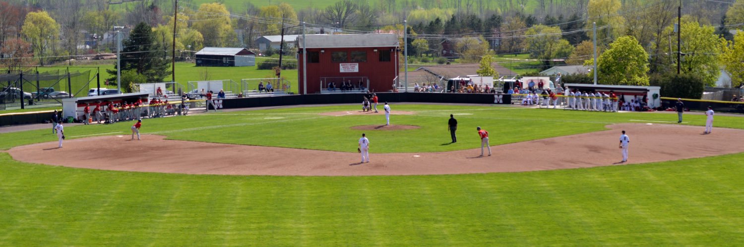 Mansfield Baseball banner