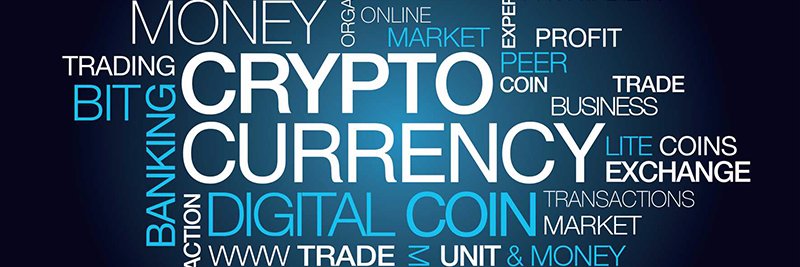 coin_forest's profile banner image