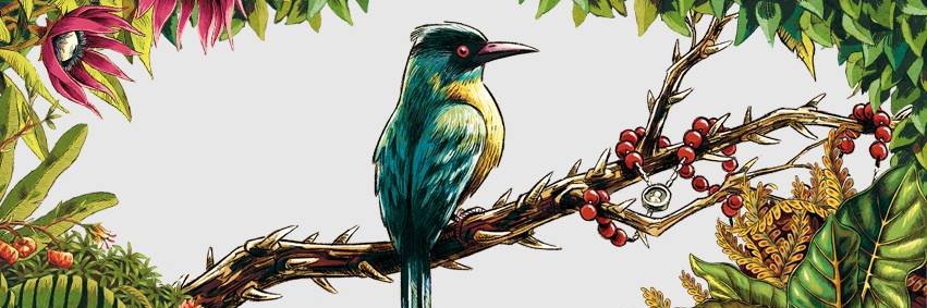 CRomaBar's profile banner image