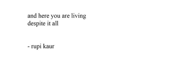 m_cameron4 Profile Banner