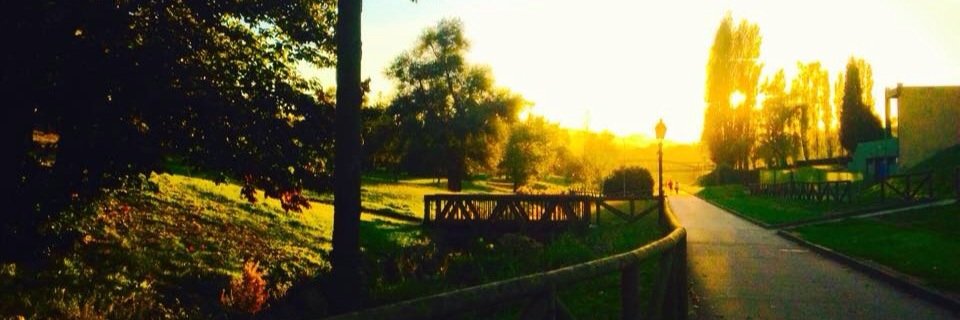 pase lo que pase banner