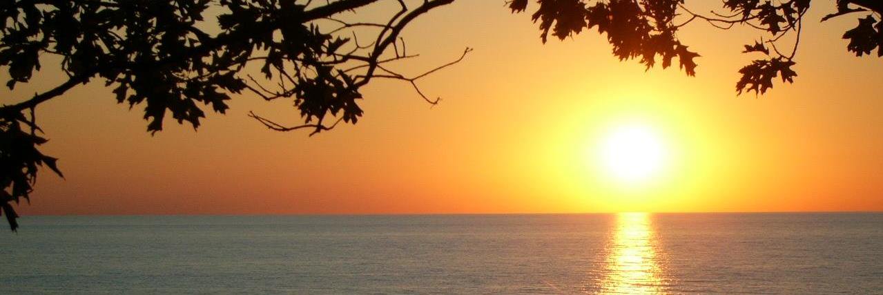 randywilliamson's profile banner image