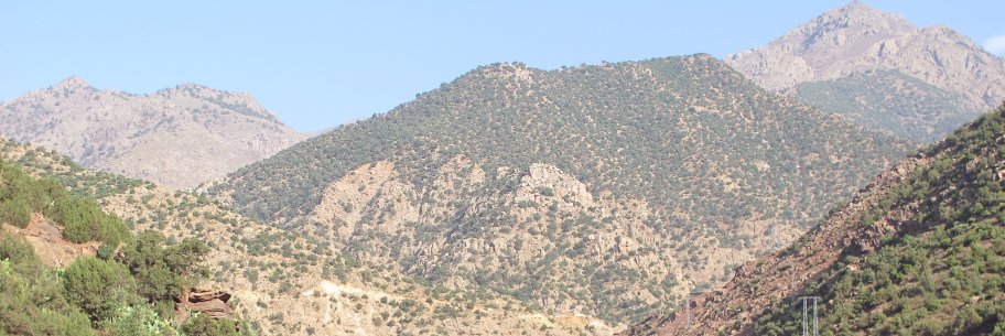InesPico_'s profile banner image