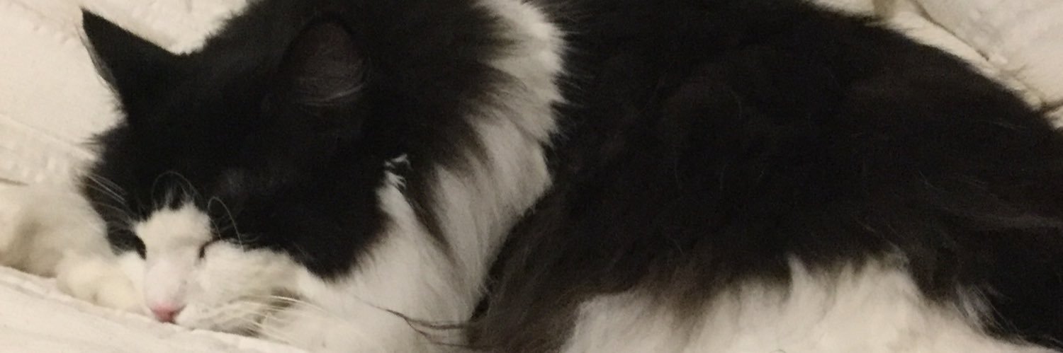 hakufu24's profile banner image