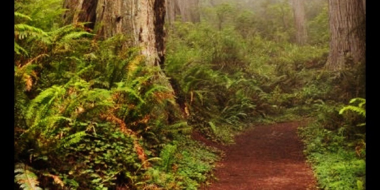 Hmcrrt's profile banner image