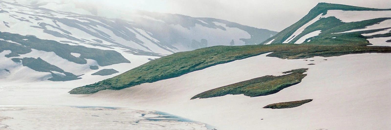 ali_bear20's profile banner image