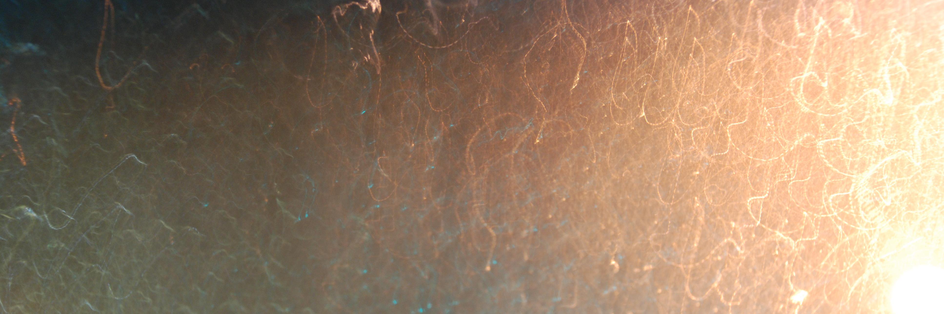 calrklav's profile banner image