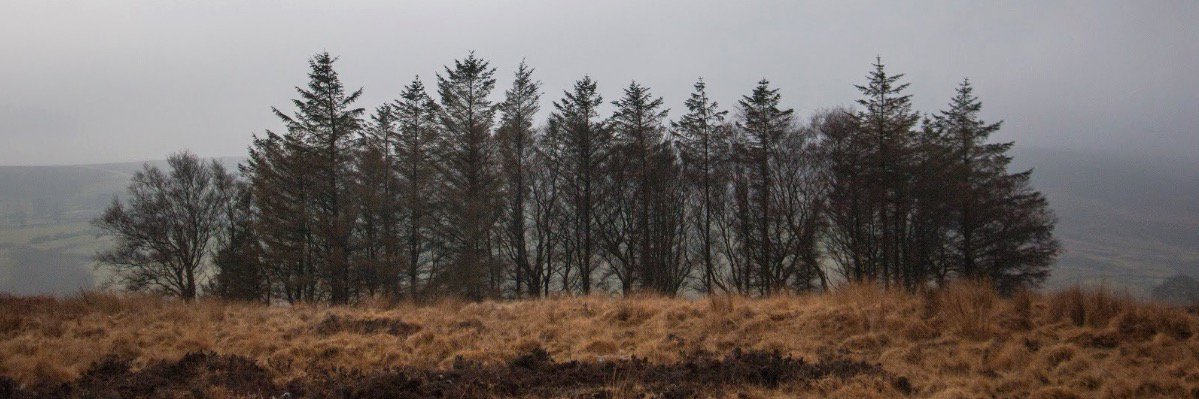 Semi_Natural's profile banner image
