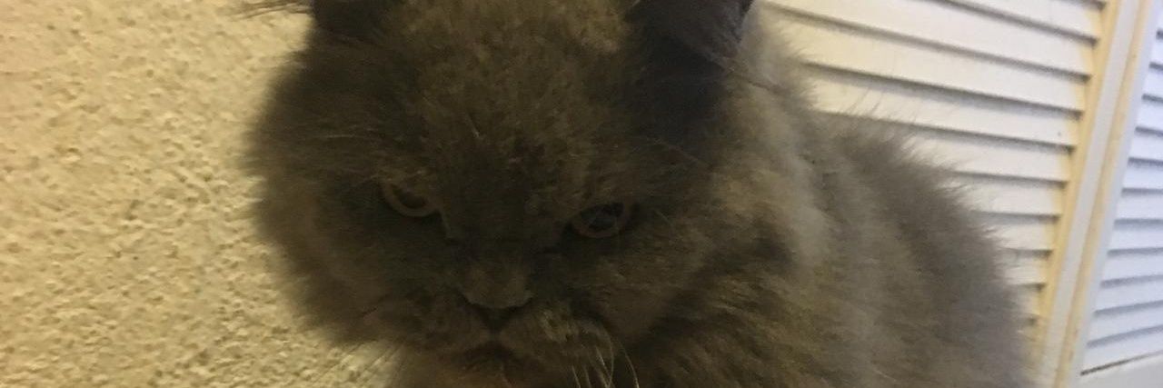 suzymr7's profile banner image