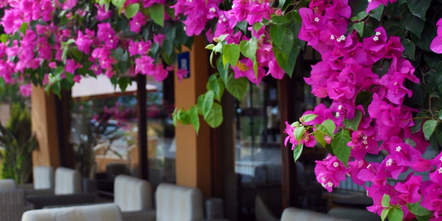 HotelCeferino's profile banner image