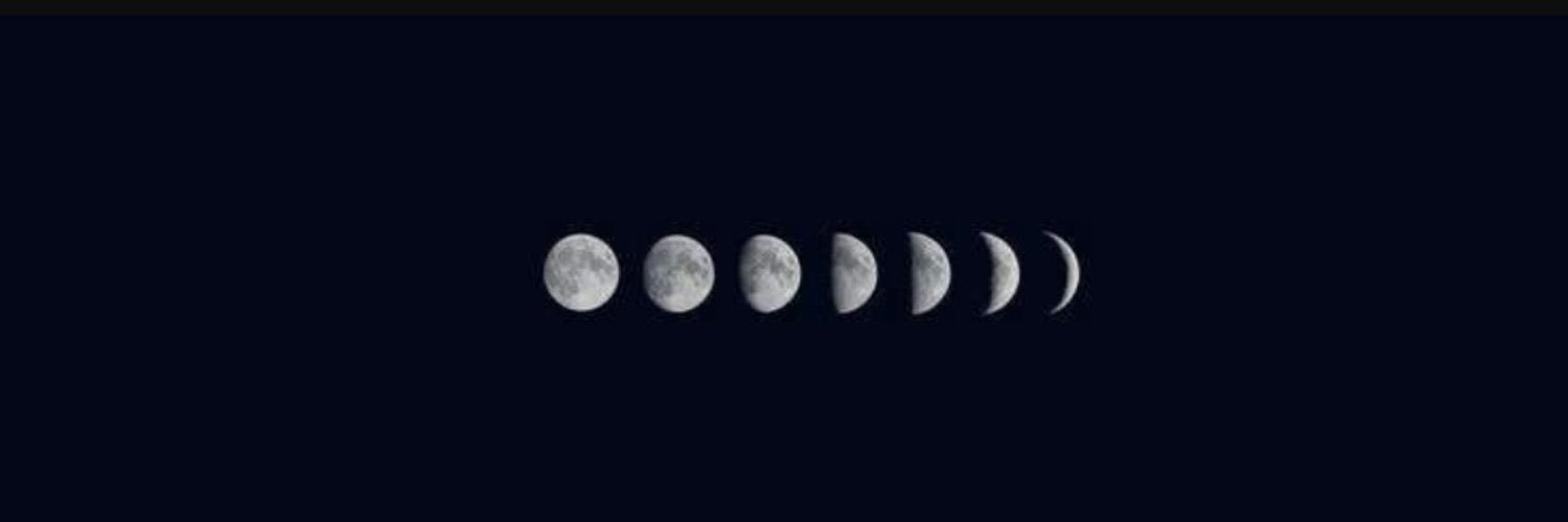 sunflowerljp's profile banner image