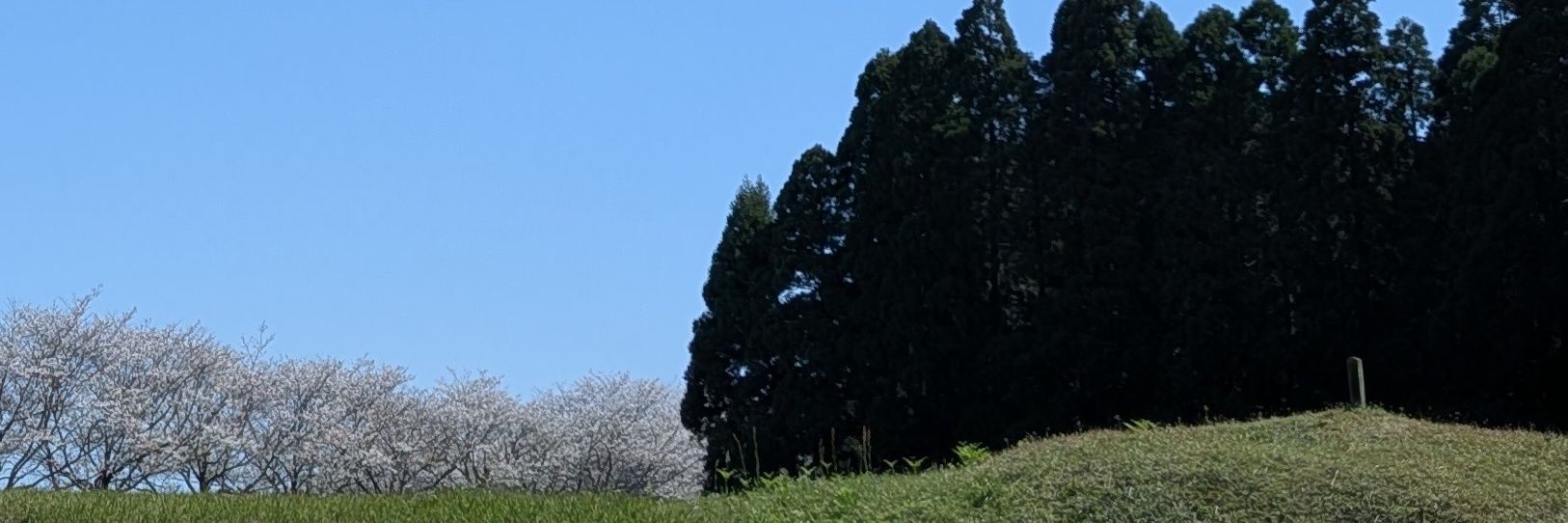 ccremon369's profile banner image
