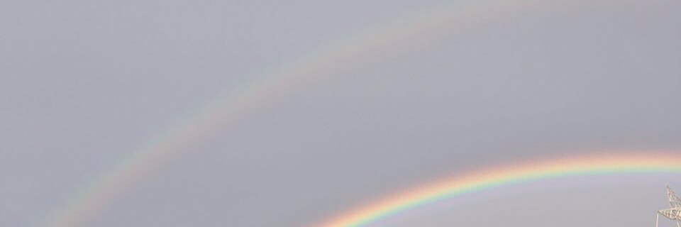 sadiyemmsoglu's profile banner image
