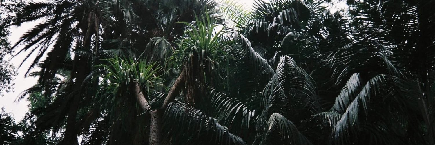 SentimentUK's profile banner image