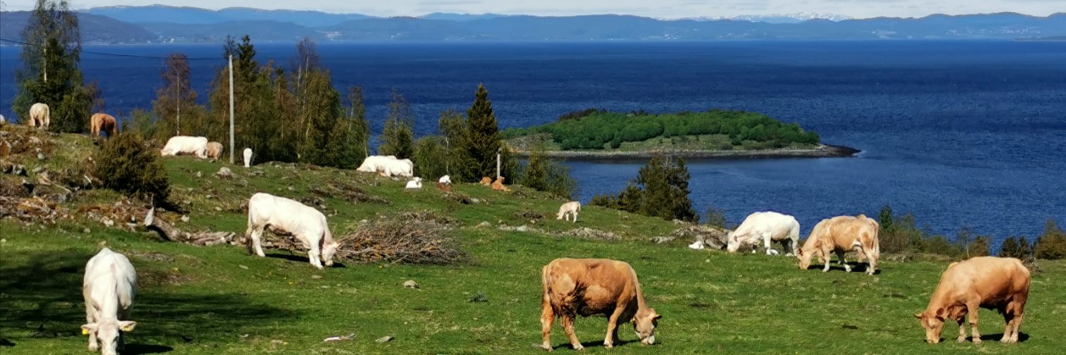 john steppling banner