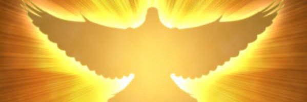 Dgisbert's profile banner image