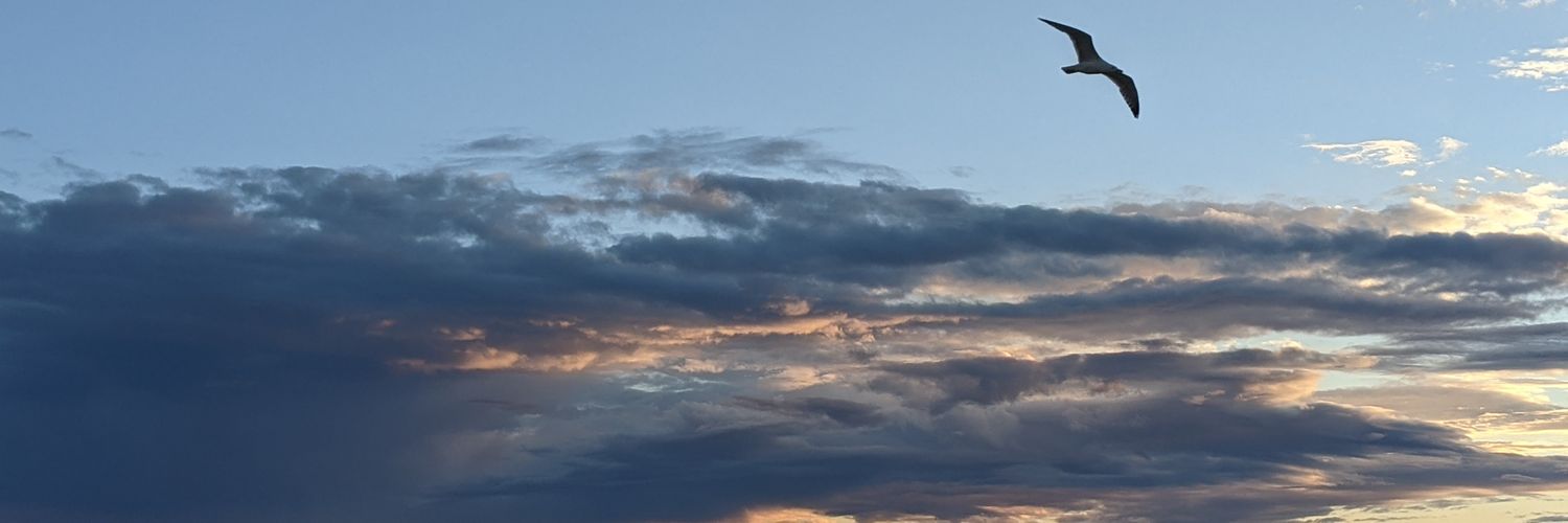ImaneDianiFr's profile banner image