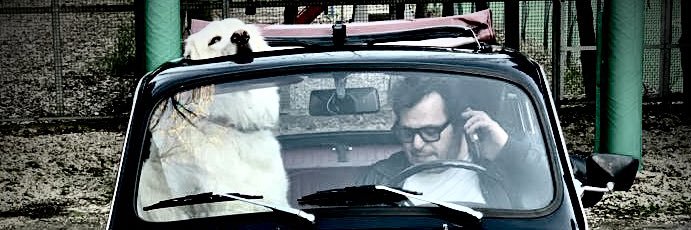 agerardi68's profile banner image