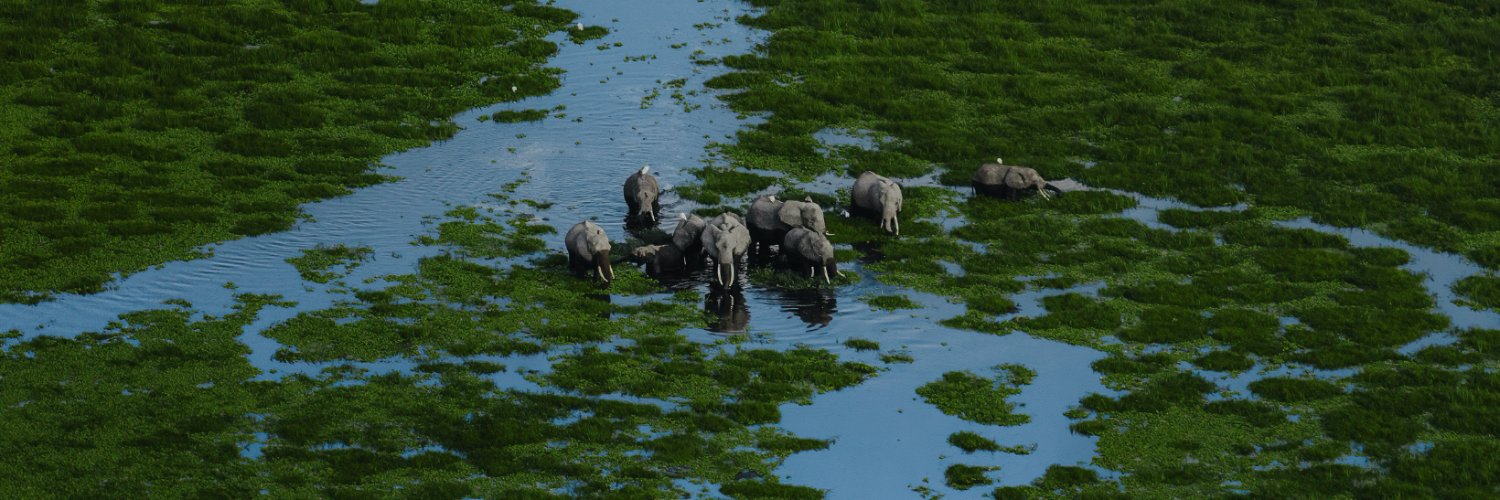 International Fund for Animal Welfare (IFAW) banner