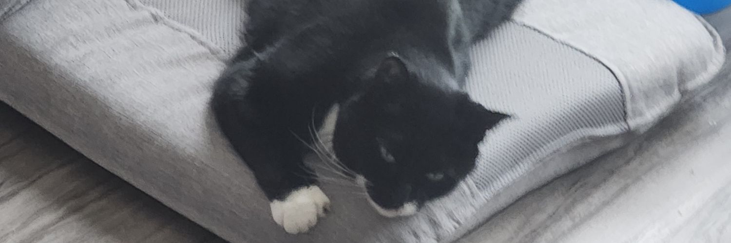Mimaghosttail banner