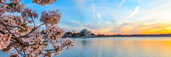 AaronWebb_DC Profile Banner