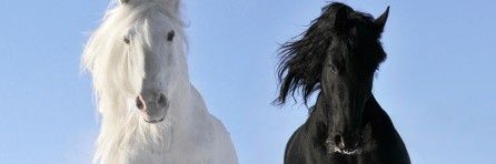 Julio De Los Santos banner