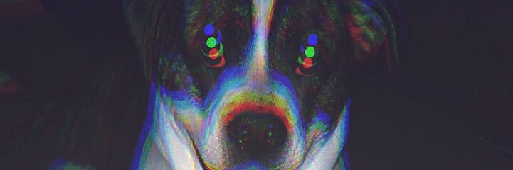 Fallout4Player's profile banner image