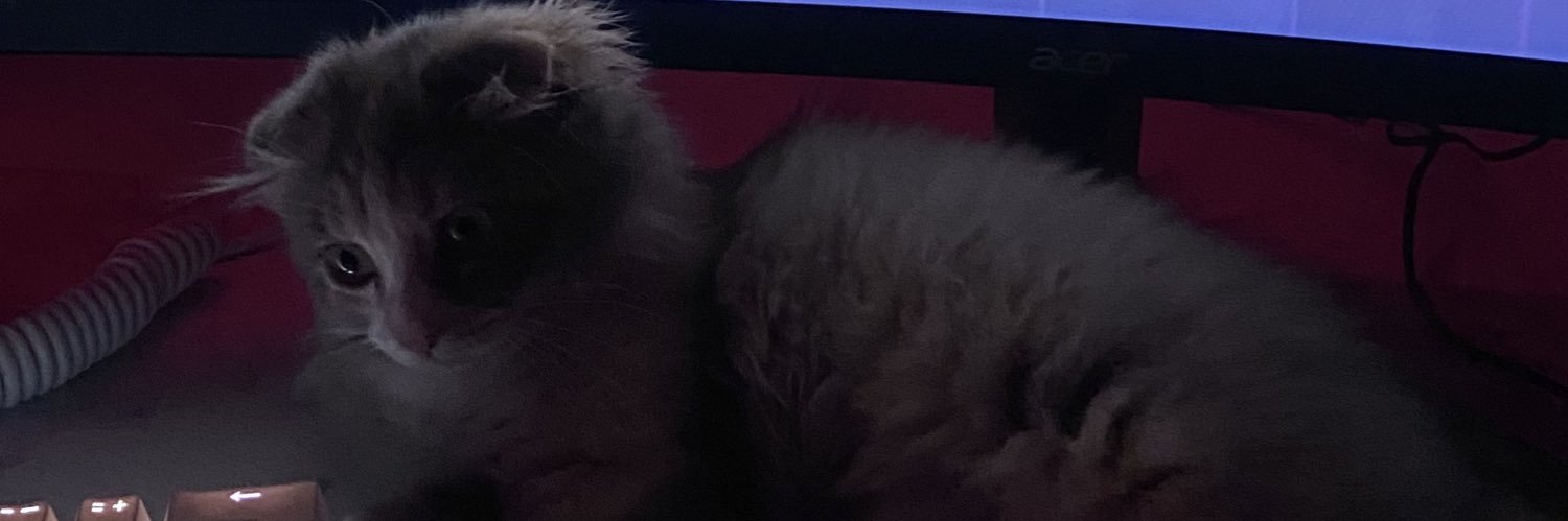 urteamoo's profile banner image