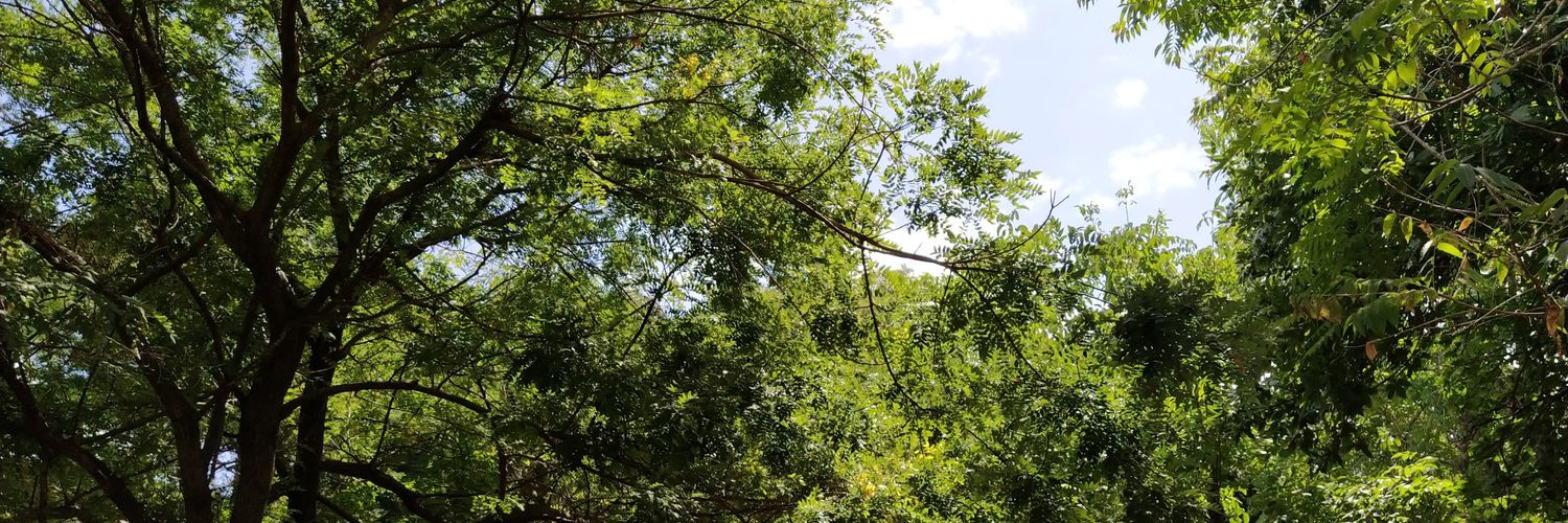 MaryanaMap's profile banner image