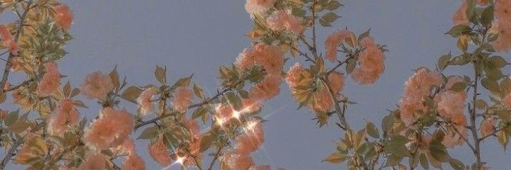 BBBia 🥂🧙‍♀️ banner