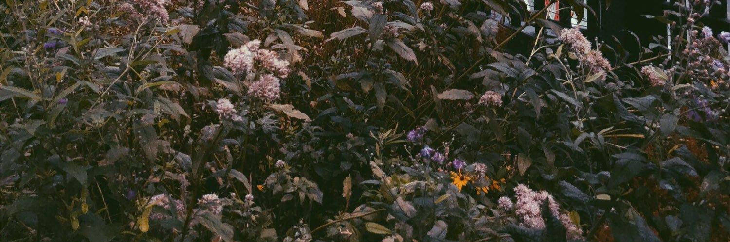 Coni_Monaldi's profile banner image