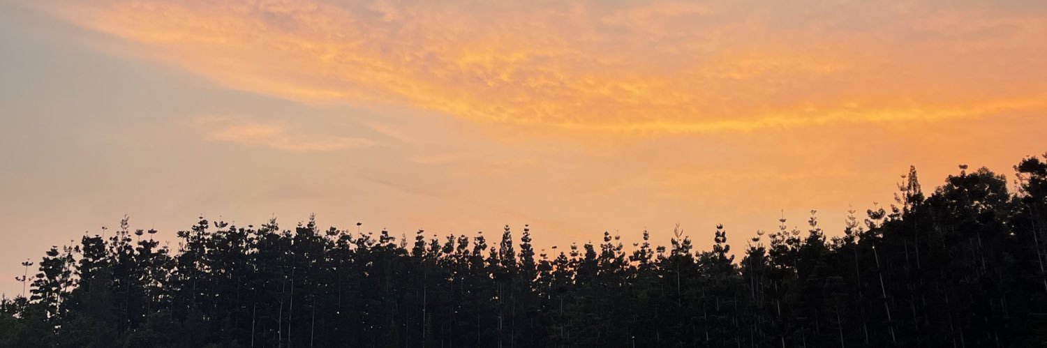 farrachiera's profile banner image