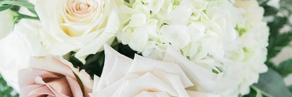 mcgeeeschete's profile banner image