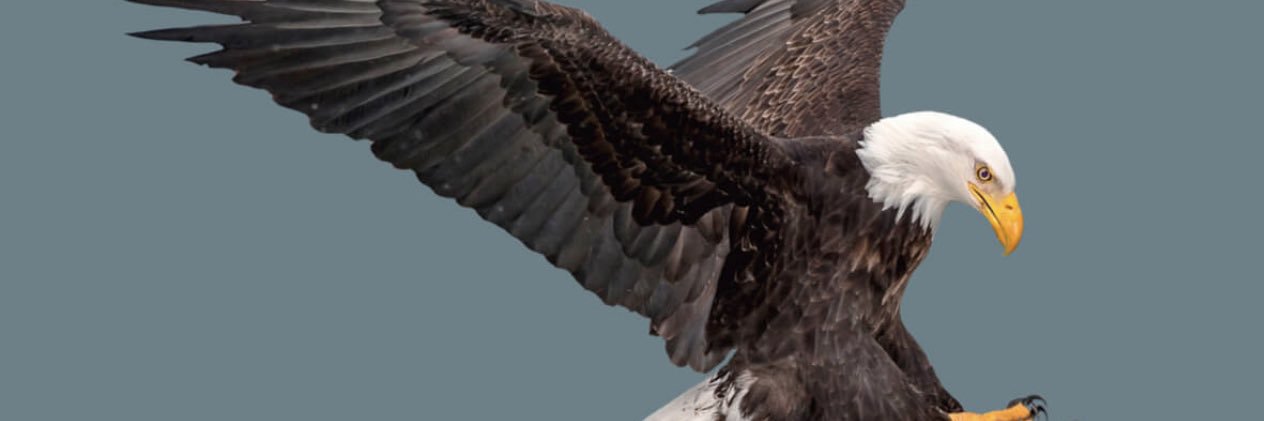 CarlosForLar's profile banner image