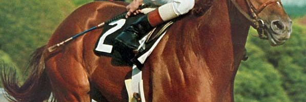 TomMast313 🇺🇸 banner