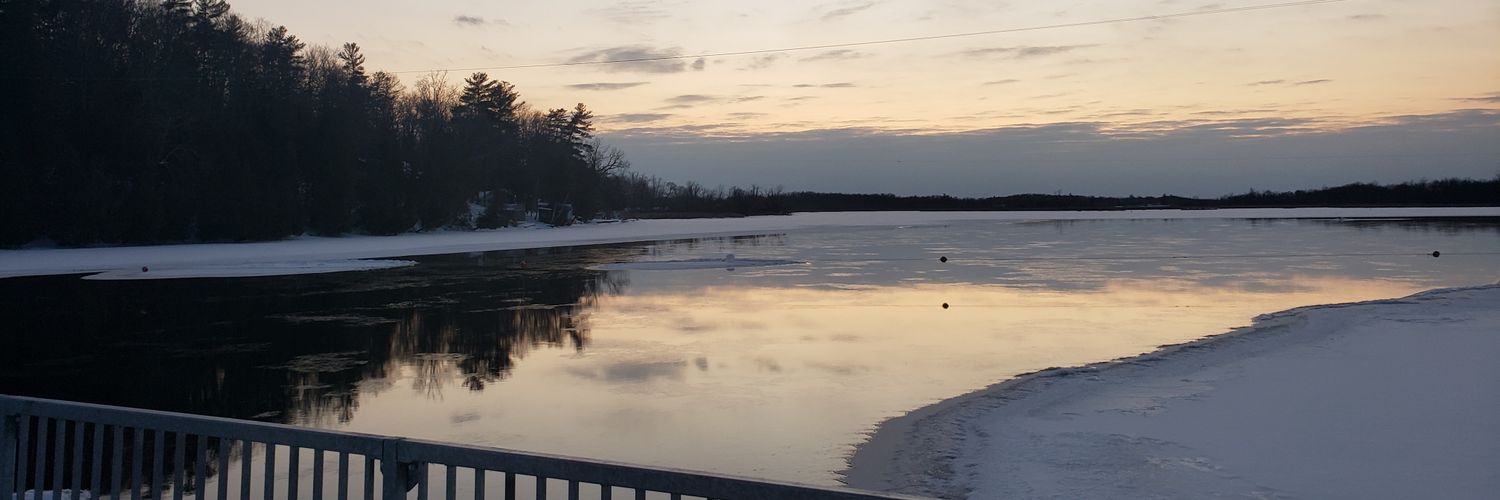 flibbertygibbit banner