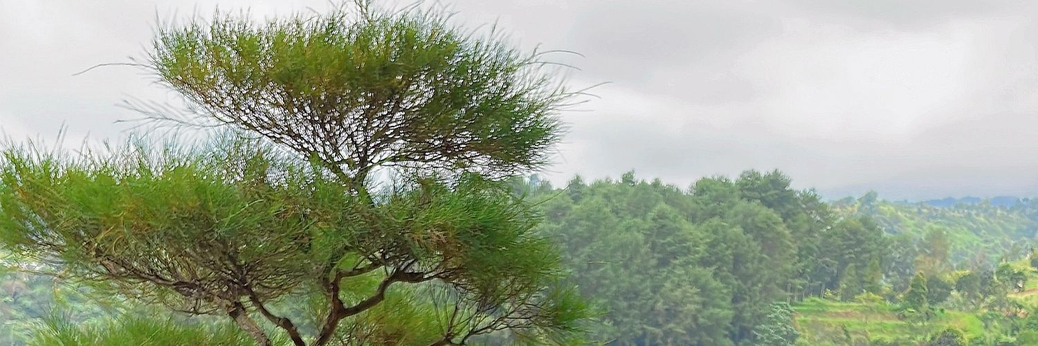 Osbin banner