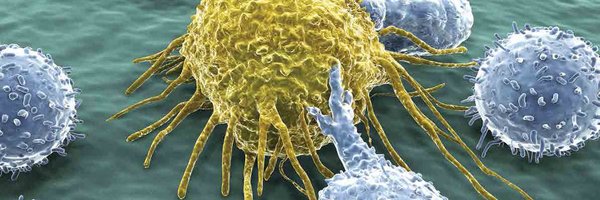 JohnEMullinaxMD Profile Banner