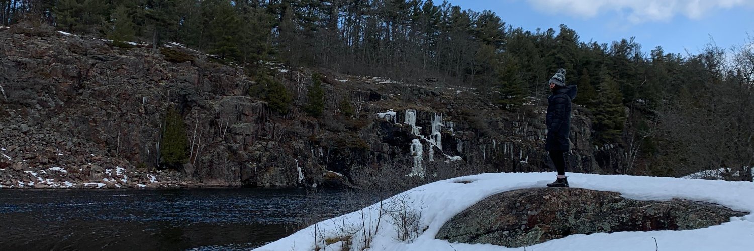 AEAtkinson's profile banner image