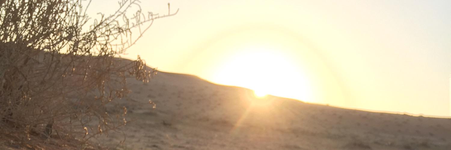 11wer's profile banner image